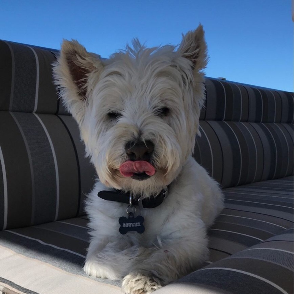 Meet your Posher, Jack